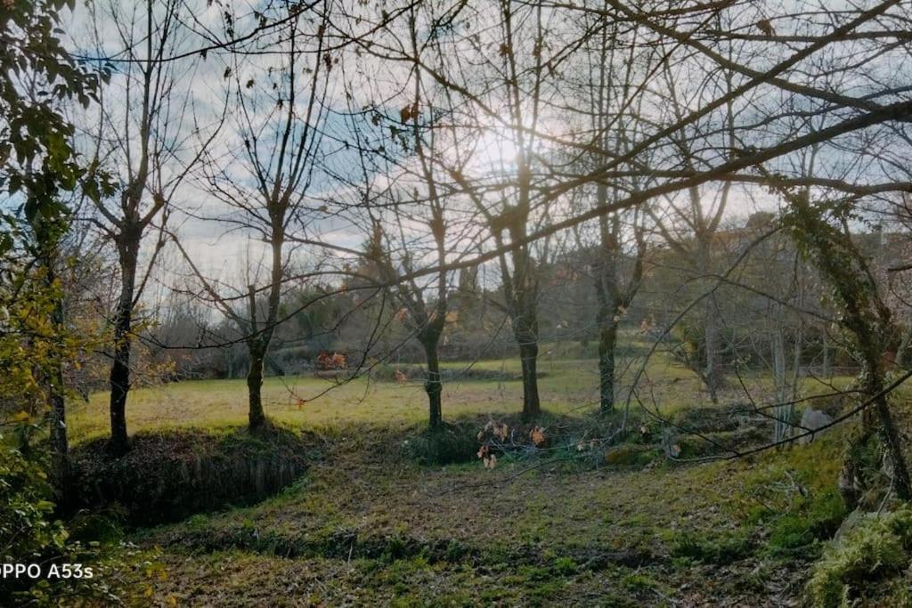 Confort, Fun And Leisure In Douro Rural Space Sande  エクステリア 写真