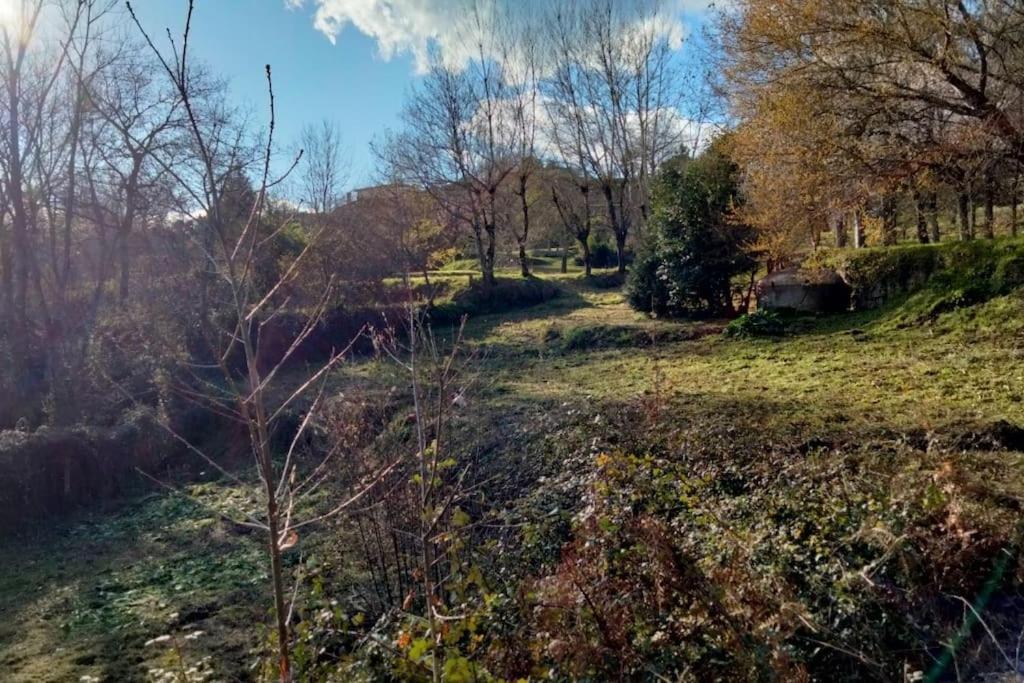Confort, Fun And Leisure In Douro Rural Space Sande  エクステリア 写真