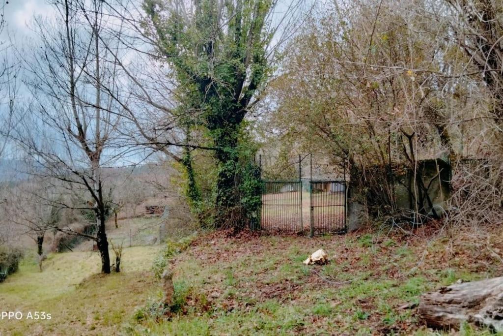 Confort, Fun And Leisure In Douro Rural Space Sande  エクステリア 写真