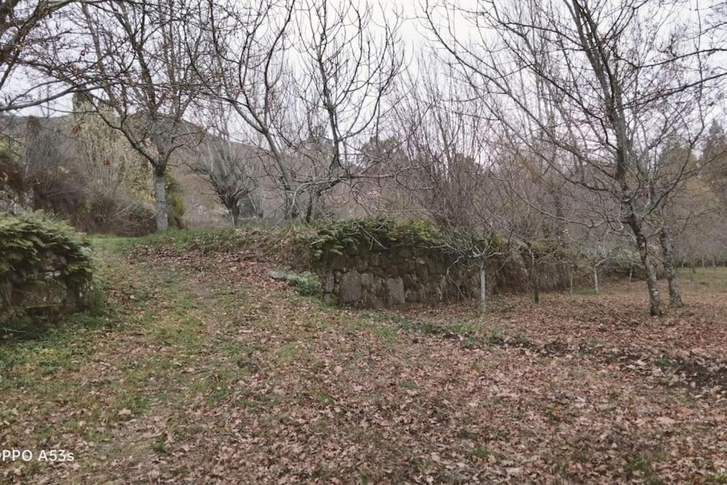 Confort, Fun And Leisure In Douro Rural Space Sande  エクステリア 写真