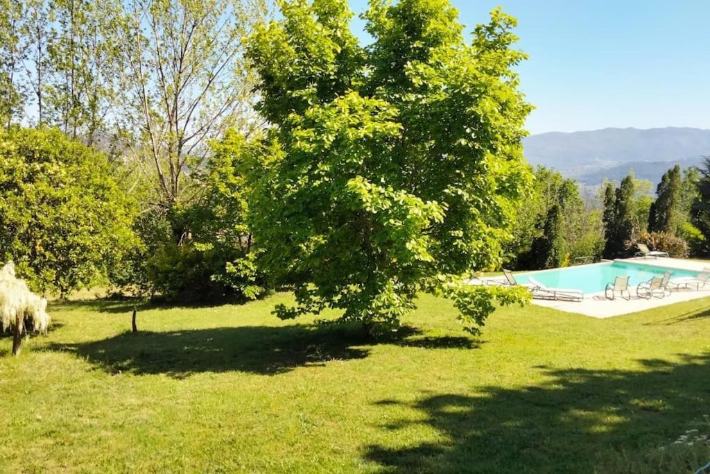 Confort, Fun And Leisure In Douro Rural Space Sande  エクステリア 写真