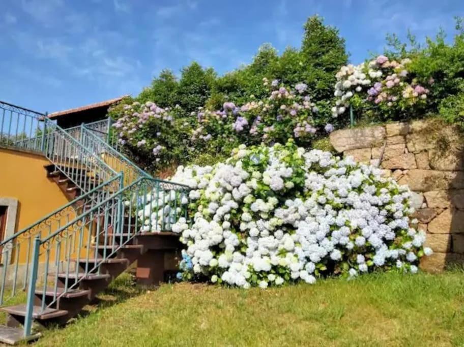 Confort, Fun And Leisure In Douro Rural Space Sande  エクステリア 写真