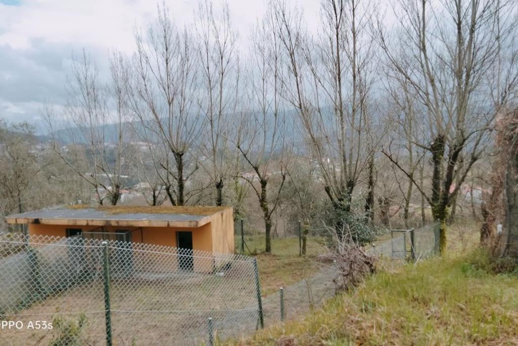 Confort, Fun And Leisure In Douro Rural Space Sande  エクステリア 写真
