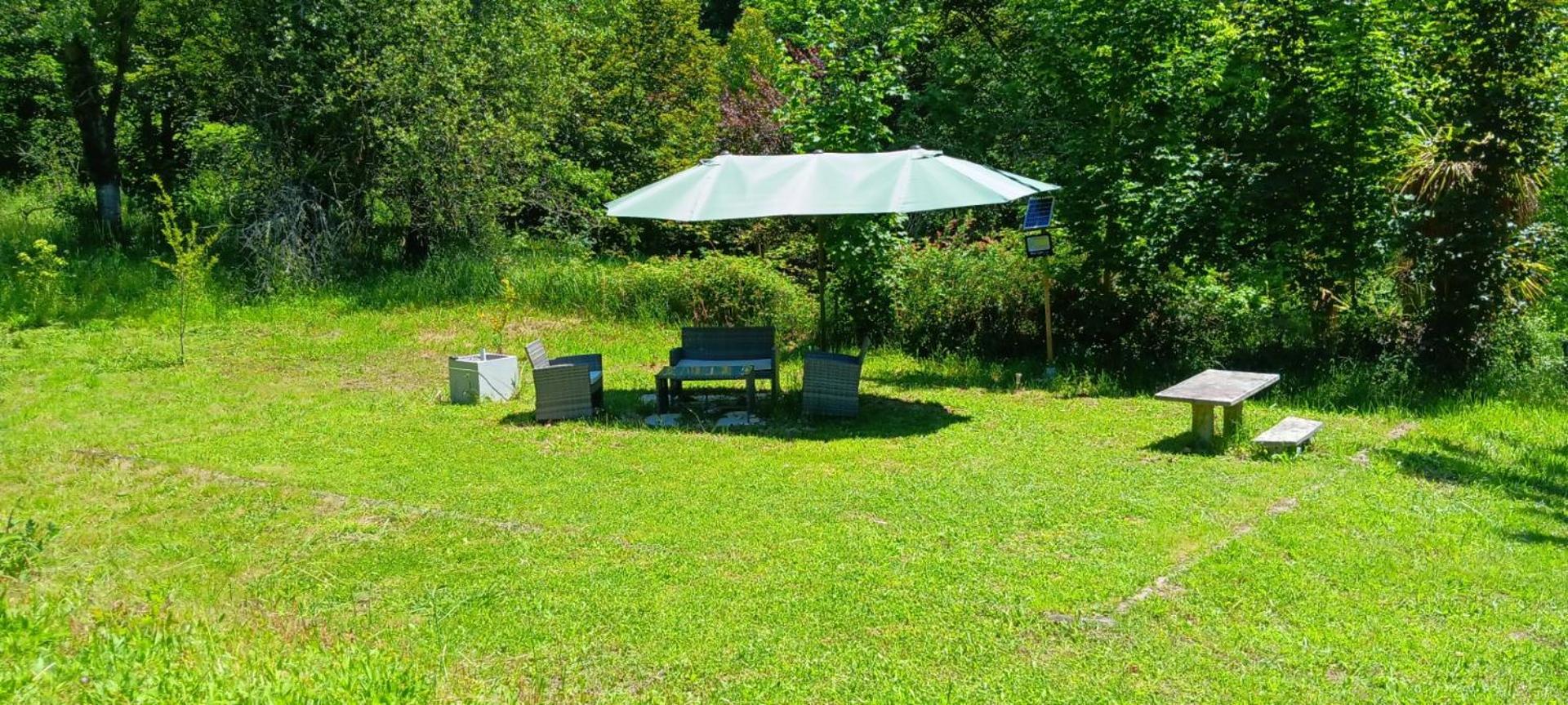 Confort, Fun And Leisure In Douro Rural Space Sande  エクステリア 写真